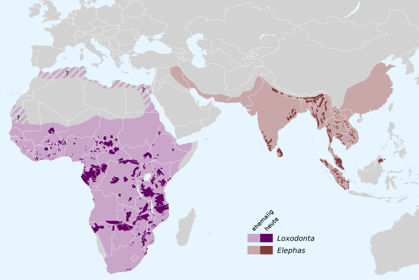 Ehemaliges (hellerer Farbton) und heutiges (dunklerer Farbton) Verbreitungsgebiet des Elefanten