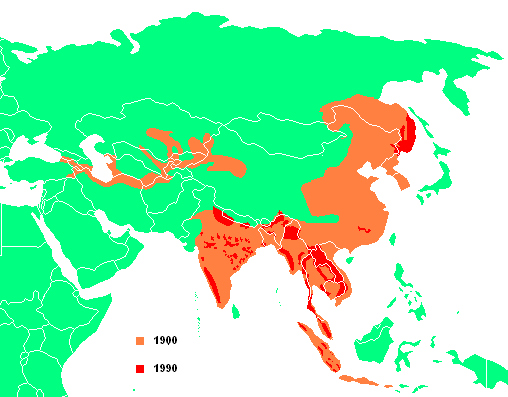 Verbreitung der Tiger 1900 und 1990