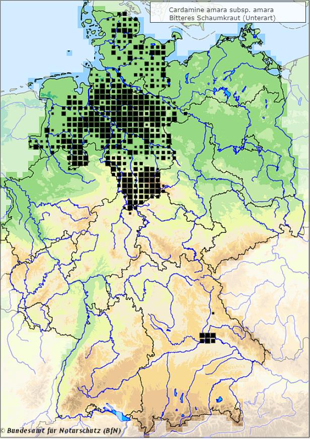 Bitteres Schaumkraut - Cardamine amara subsp. amara - Verbreitungsgebiet in Deutschland (Karte vom Bundesamt für Naturschutz, BfN, FloraWeb, abgerufen am 04.10.2022)