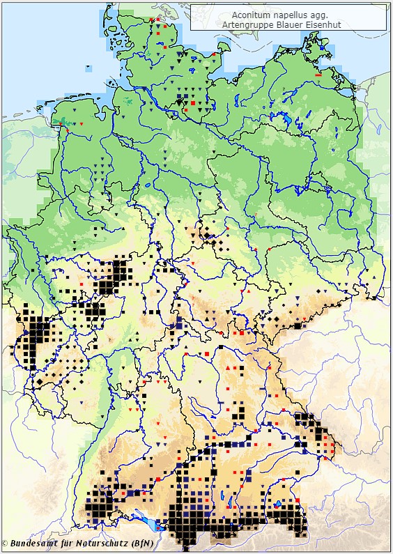 Blauer Eisenhut - Aconitum napellus - Verbreitungsgebiet in Deutschland (Karte vom Bundesamt für Naturschutz, BfN, FloraWeb)