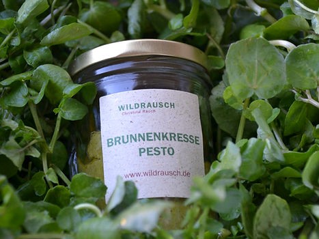 Echte Brunnenkresse - Nasturtium officinale - Pesto von Wildrausch