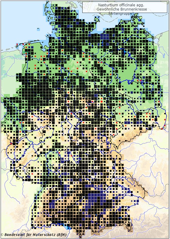 Echte Brunnenkresse - Nasturtium officinale agg. - Verbreitungsgebiet in Deutschland (Karte vom Bundesamt für Naturschutz, BfN, FloraWeb, abgerufen am 26.09.2022)