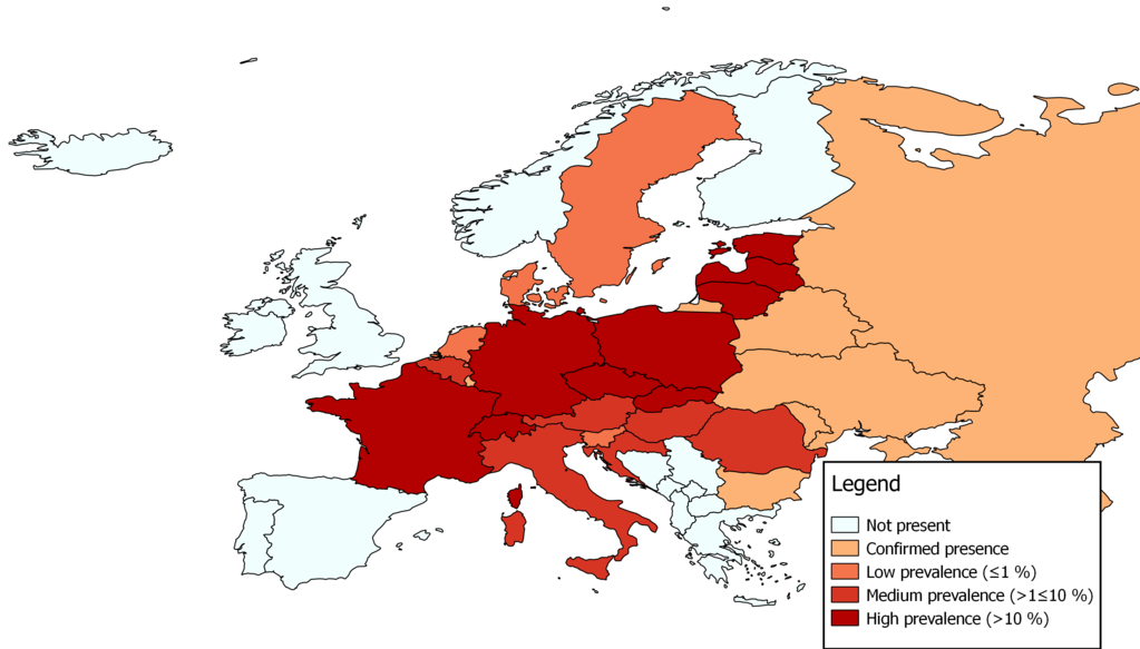 Fuchsbandwurm - Echinococcus multilocularis - Verbreitung in Europa in den Fuchspopulationen (Flukeman, CC BY-SA 4.0, via Wikimedia Commons)