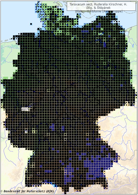 Löwenzahn - Taraxum sect. Ruderalia - Verbreitungsgebiet in Deutschland (Karte vom Bundesamt für Naturschutz, BfN, FloraWeb, abgerufen am 26.09.2022)