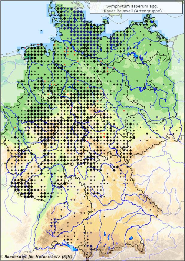 Rauer Beinwell - Symphytum asperum - Verbreitungsgebiet in Deutschland (Karte vom Bundesamt für Naturschutz, BfN, FloraWeb, abgerufen am 28.09.2022)