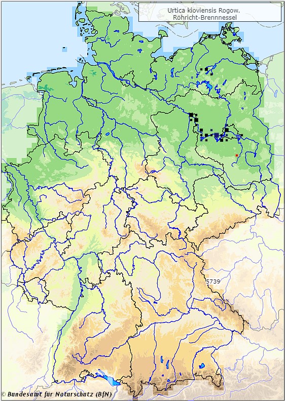 Röhricht-Brennnessel - Urtica kioviensis - Verbreitungsgebiet in Deutschland (Karte vom Bundesamt für Naturschutz, BfN, FloraWeb, abgerufen am 26.09.2022)