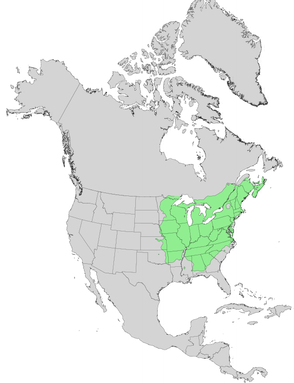 Roteiche - Quercus rubra - ursprüngliches Verbreitungsgebiet (U.S. Geological Survey, Public domain, via Wikimedia Commons)