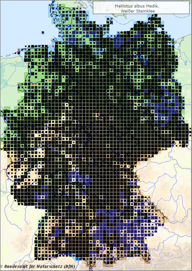 Weißer Steinklee - Melilotus albus - Verbreitungsgebiet in Deutschland (Karte vom Bundesamt für Naturschutz, BfN, FloraWeb, abgerufen am 30.09.2022)